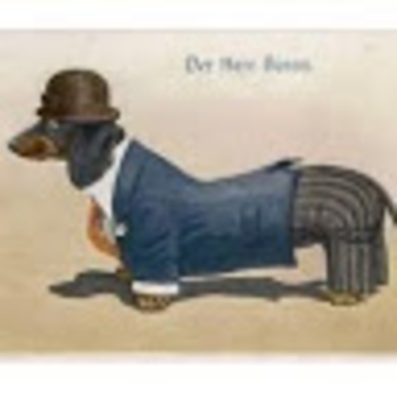 Meet your Posher, Rachel - Picture 1 of 1